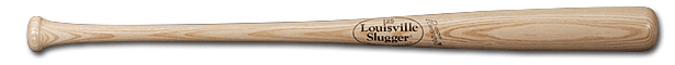 baseball bat 