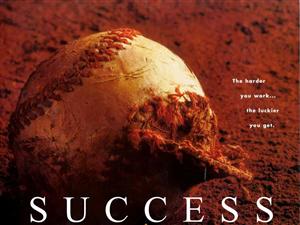 Baseball Success 