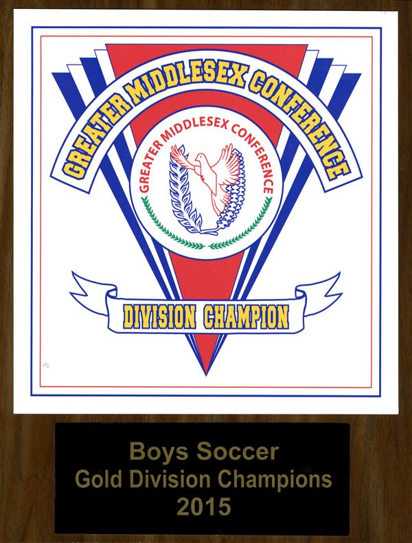 2015 Gold Division Champs 
